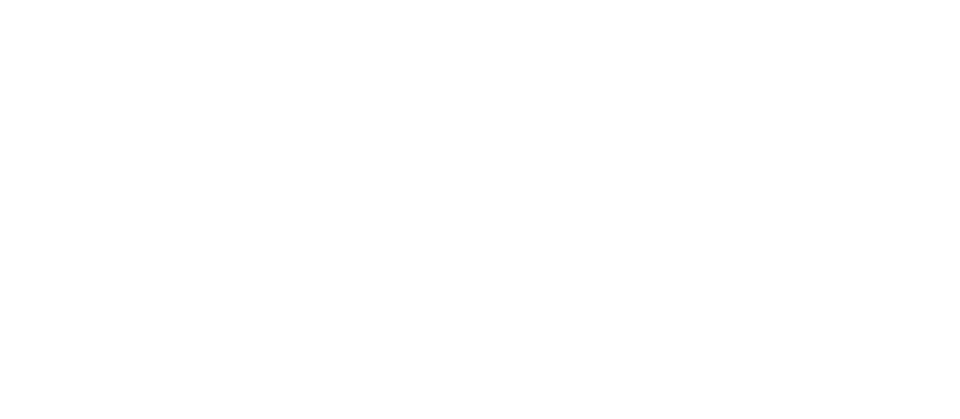 Логотип (белый)